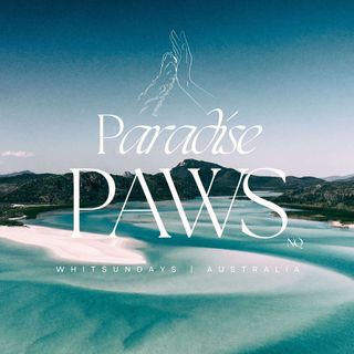 Paradise Paws NQ post thumbnail