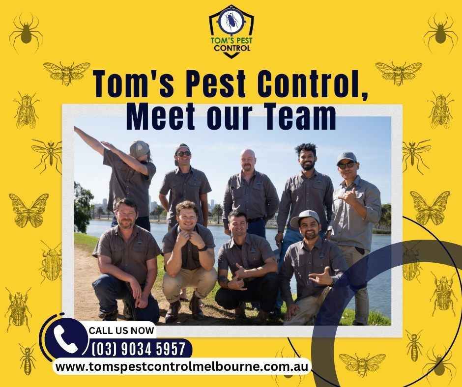 Tom's Pest Control Melbourne image
