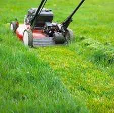 Mad About Mowing and Maintenance image