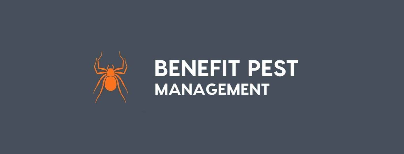 Benefit Pest Management Pty Ltd image