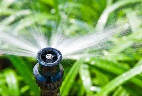 Taree Pumps & Irrigation image
