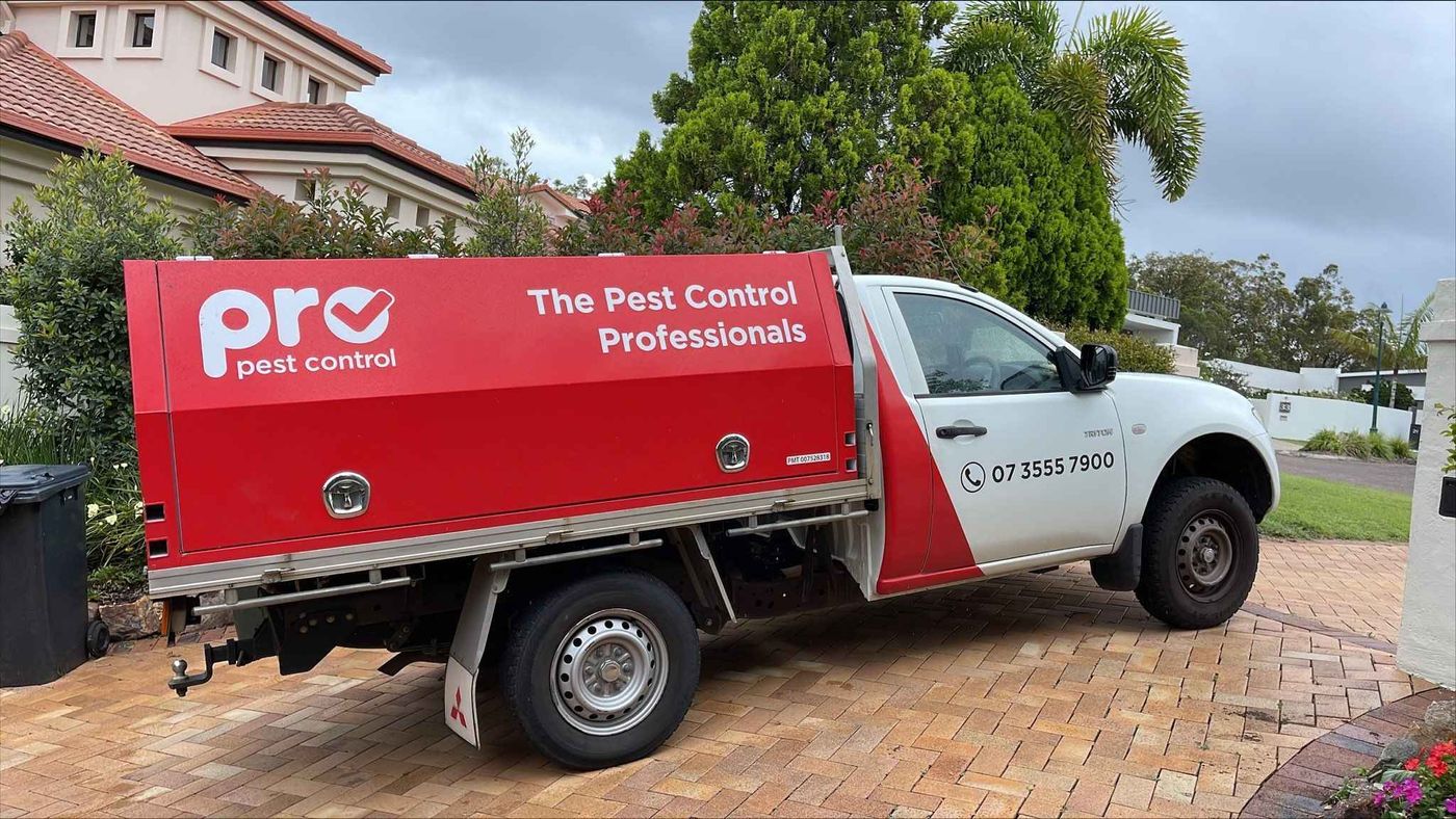 Pro Pest Control Brisbane image