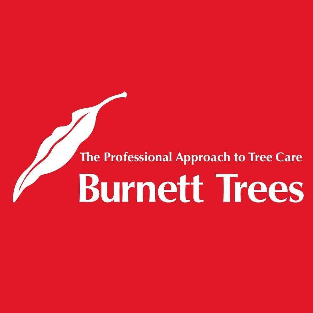 Burnett Trees image