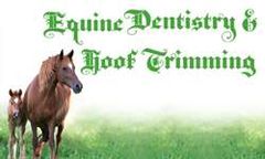 Brian S Grant Horse Dentistry & Farrier Service logo