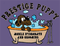 Prestige Puppy Mobile Hydrobath & Grooming logo