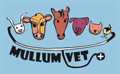 Mullumbimby Veterinary Clinic logo