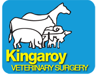 Kingaroy Veterinary Surgery logo