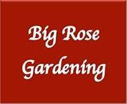 Big Rose Gardening logo