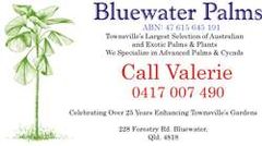 Bluewater Palms logo