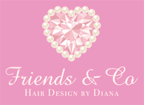Friends & Co Hair Design by Diana logo