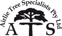 Airlie Tree Specialists Pty Ltd logo