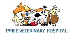 Taree Veterinary Hospital logo