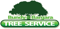 Bundy & Bargara Tree Service logo