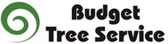 Budget Tree Service QLD logo
