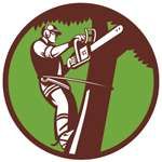 All Tree and Stump Works logo