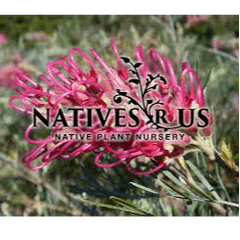 Natives 'R' Us Nursery logo