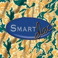 Smart Elec logo