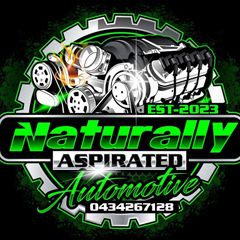 Naturally Aspirated Automotive logo