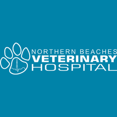 Northern Beaches Veterinary Hospital logo