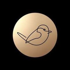 Early Bird Accounts logo