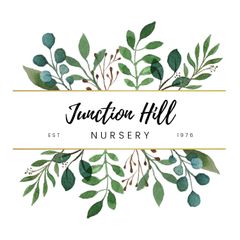 Junction Hill Nursery logo