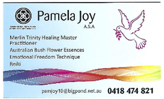 Pamela Joy-Natural Therapies logo