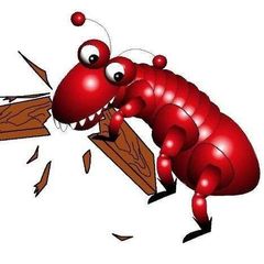 Surekil Pest Control logo