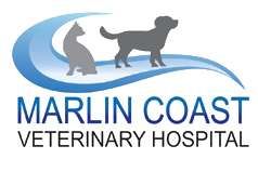 Marlin Coast Veterinary Hospital logo