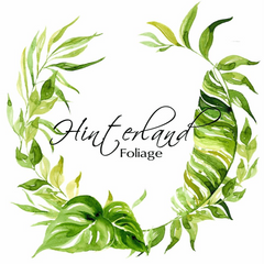 Hinterland Foliage logo
