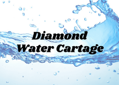 Diamond Water N Tipper Services logo