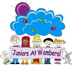 Juniors at Wamberal logo