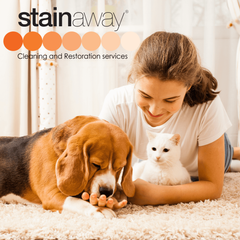 Stainaway Carpet Cleaning Port Stephens logo
