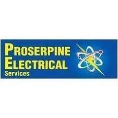 Proserpine Electrical Services logo