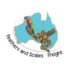 Feathers and Scales Freight logo