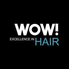 Wow! Excellence in Hair logo