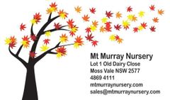 Mt Murray Nursery logo