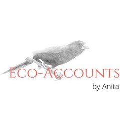 Eco-Accounts logo