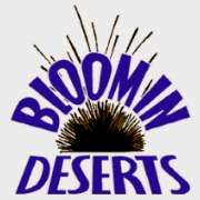Bloomin Deserts Landscaping and Pools logo