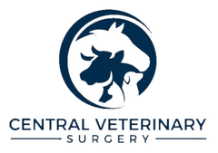 Central Veterinary Surgery logo
