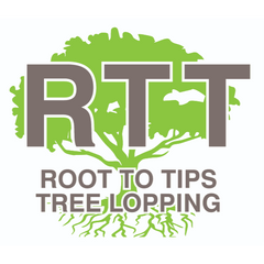 Root To Tips Tree Lopping Agnes Water logo