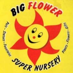 Big Flower Super Nursery logo