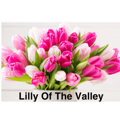 Lilly Of The Valley Florist logo
