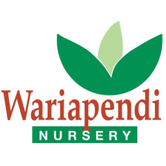 Wariapendi Native Nursery logo