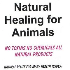 Natural Healing for Animals logo