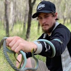 Moreton Bay Snake Catchers 24/7 logo