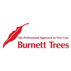 Burnett Trees logo