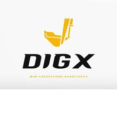 Dig X logo