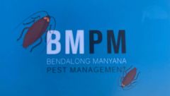 Bendalong Manyana Pest Management logo