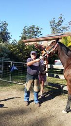 Brian S Grant Horse Dentistry & Farrier Service gallery image 2