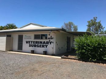 Gray Street Veterinary Clinic gallery image 24
